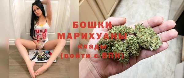 PSILOCYBIN Волосово
