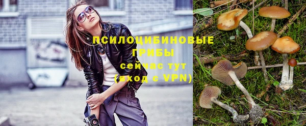 дурь Вяземский