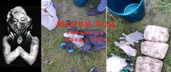 PSILOCYBIN Волосово
