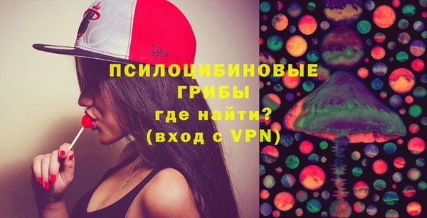 дурь Вяземский